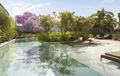 Lindenberg Reserva Paraíso